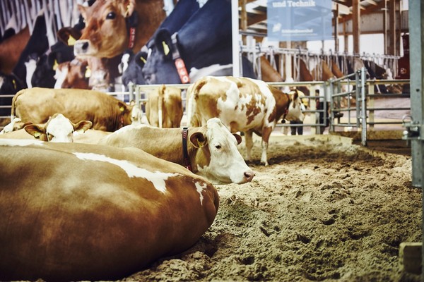 Forum Moderne Landwirtschaft